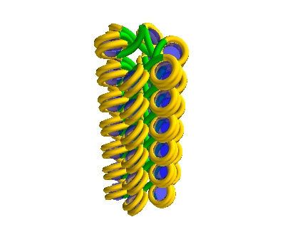 A straight solenoidal DNA segment