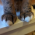 Avatar for ilpomo from gravatar.com