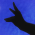Avatar for milovate from gravatar.com