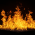 Avatar for phoenix000 from gravatar.com
