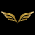 Avatar for validaus from gravatar.com