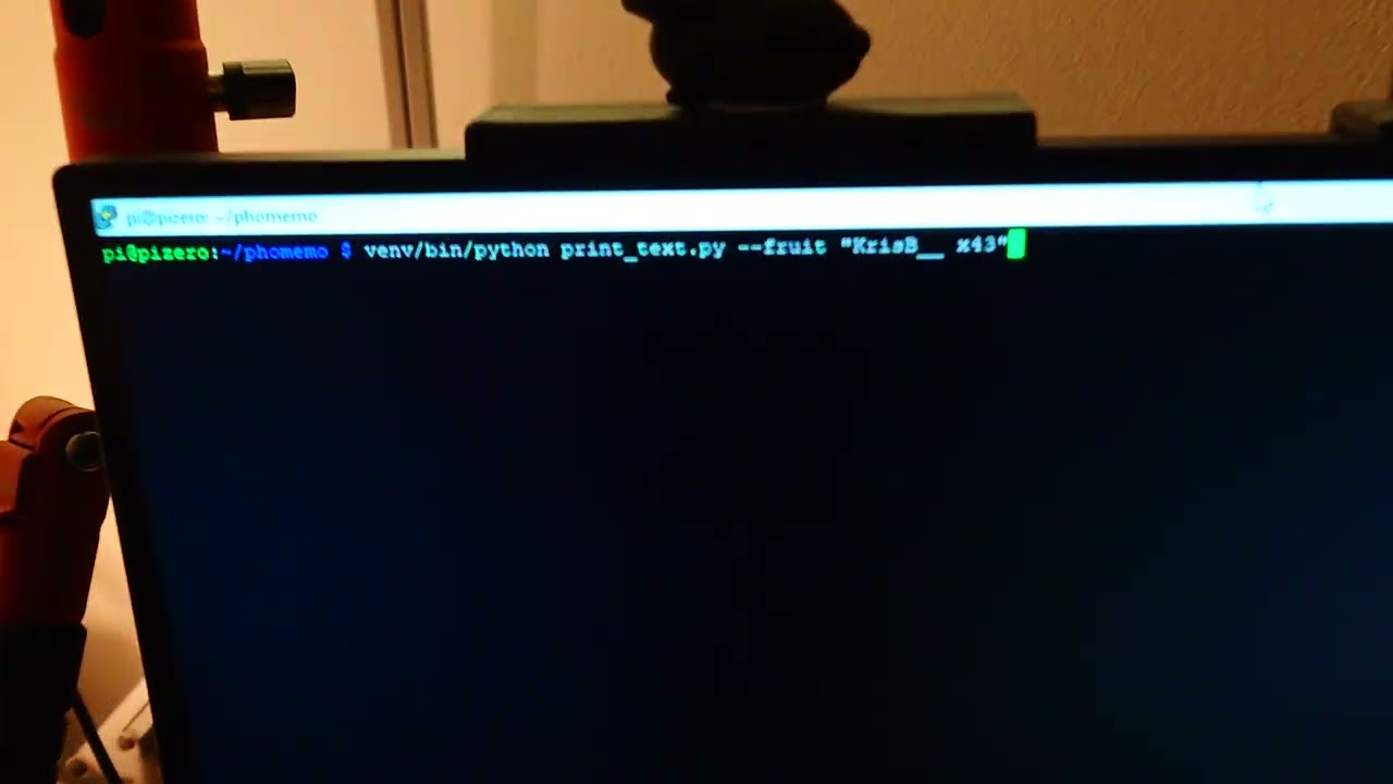 Video example of the Python script