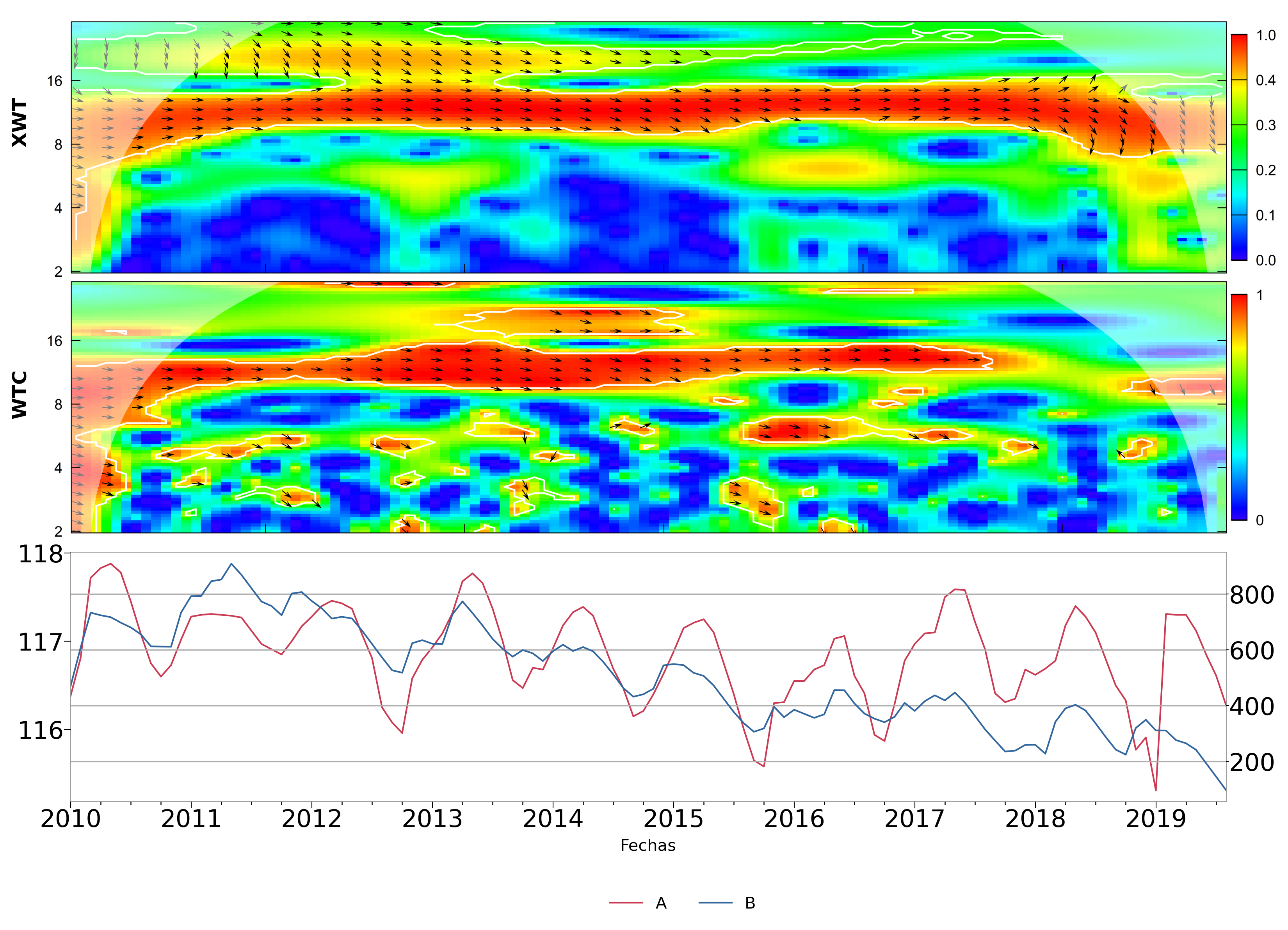 wavelet