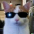 Avatar for llhax from gravatar.com