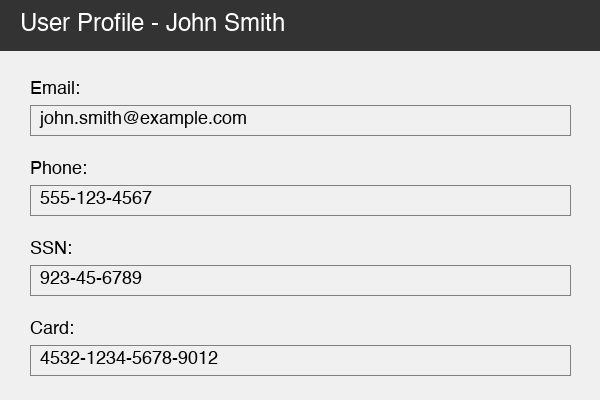 Synthetic profile form with a name, email address, phone number, SSN, and card number