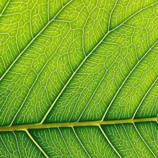 Avatar for Tom Janson from gravatar.com