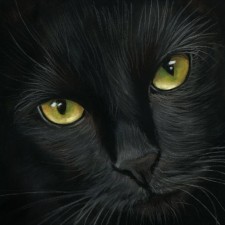 Avatar for Letton from gravatar.com