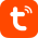 Avatar for tuya_developer from gravatar.com