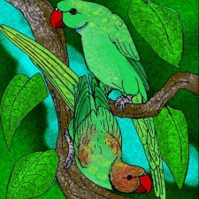 Avatar for hinaI from gravatar.com