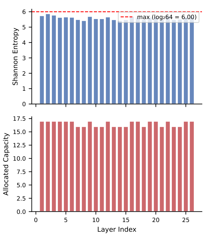 Per-layer entropy and capacity allocation