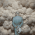 Avatar for braganca from gravatar.com