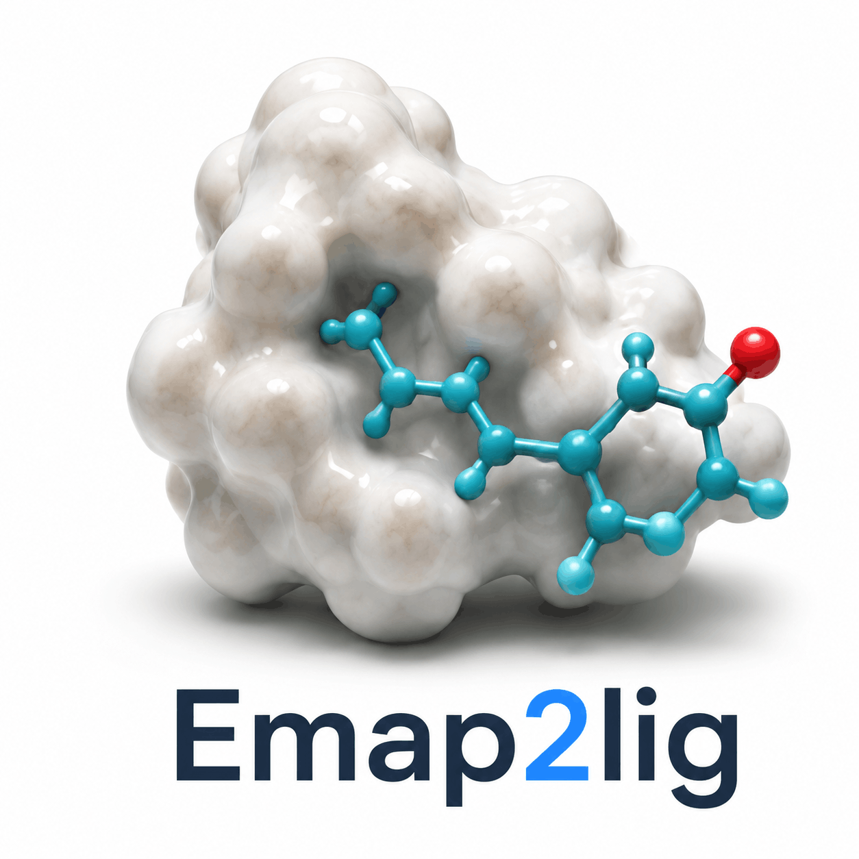 Emap2lig