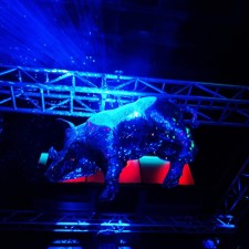 Avatar for CHOSSON Ulysse from gravatar.com