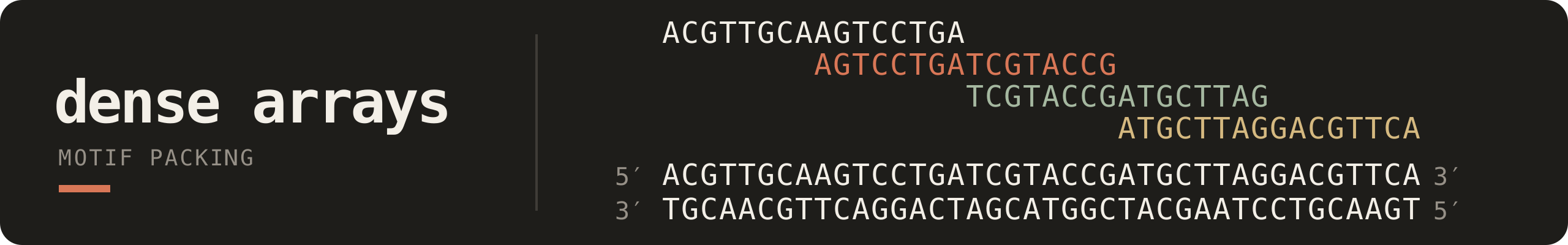 Dense Arrays — overlapping motifs within a sequence-length limit