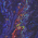 Avatar for kernelk14 from gravatar.com