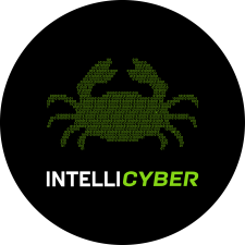 Avatar for INTELLICYBER from gravatar.com