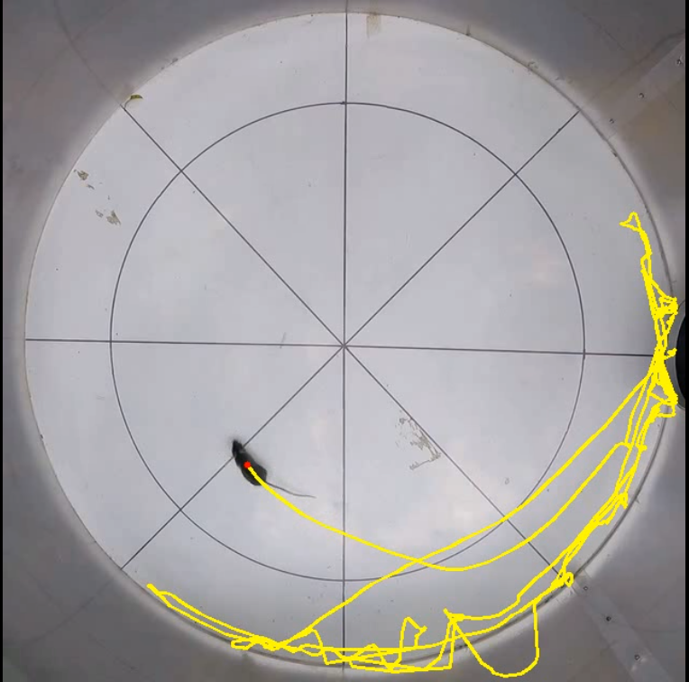 Tracking