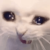 Avatar for qwez-source from gravatar.com