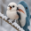 Avatar for tea9296 from gravatar.com