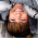 Avatar for giuliaghisini from gravatar.com