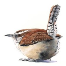 Avatar for Jonathan Wren from gravatar.com