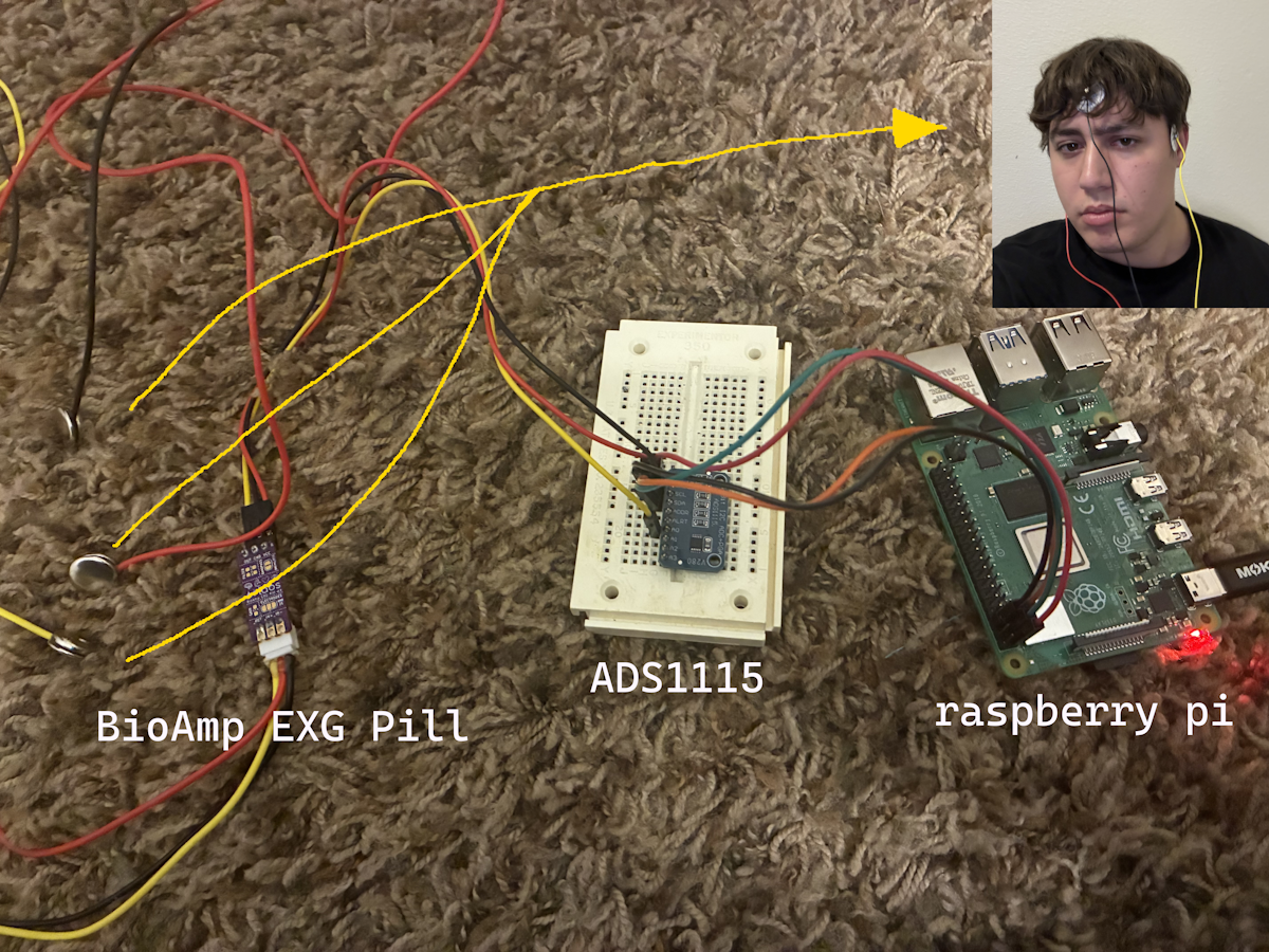 bioampclibrarypic