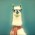 Avatar for Flurbb from gravatar.com