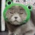 Avatar for zjb861107 from gravatar.com