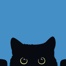 Avatar for owais shafi from gravatar.com