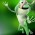 Avatar for boujaque from gravatar.com