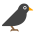 Avatar for wooya from gravatar.com
