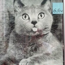 Avatar for Martin Sandström from gravatar.com