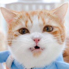 Avatar for kuaiyudian from gravatar.com