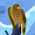 Avatar for cyrusyc from gravatar.com