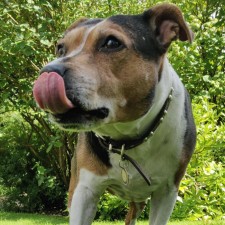 Avatar for Tinos from gravatar.com