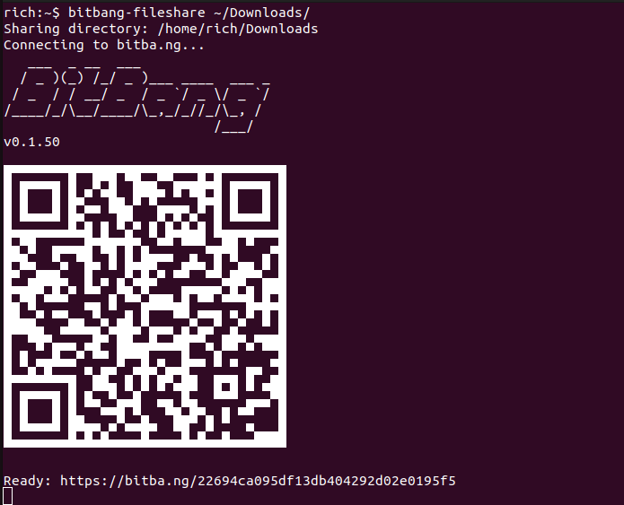 bitbang-fileshare