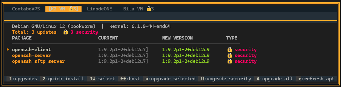 APT Update Manager