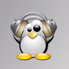 Avatar for David Cavar from gravatar.com