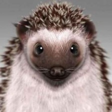 Avatar for MaxRay from gravatar.com