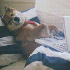 Avatar for Francesco Bartoli from gravatar.com