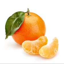 Avatar for Clementine Urquizar from gravatar.com