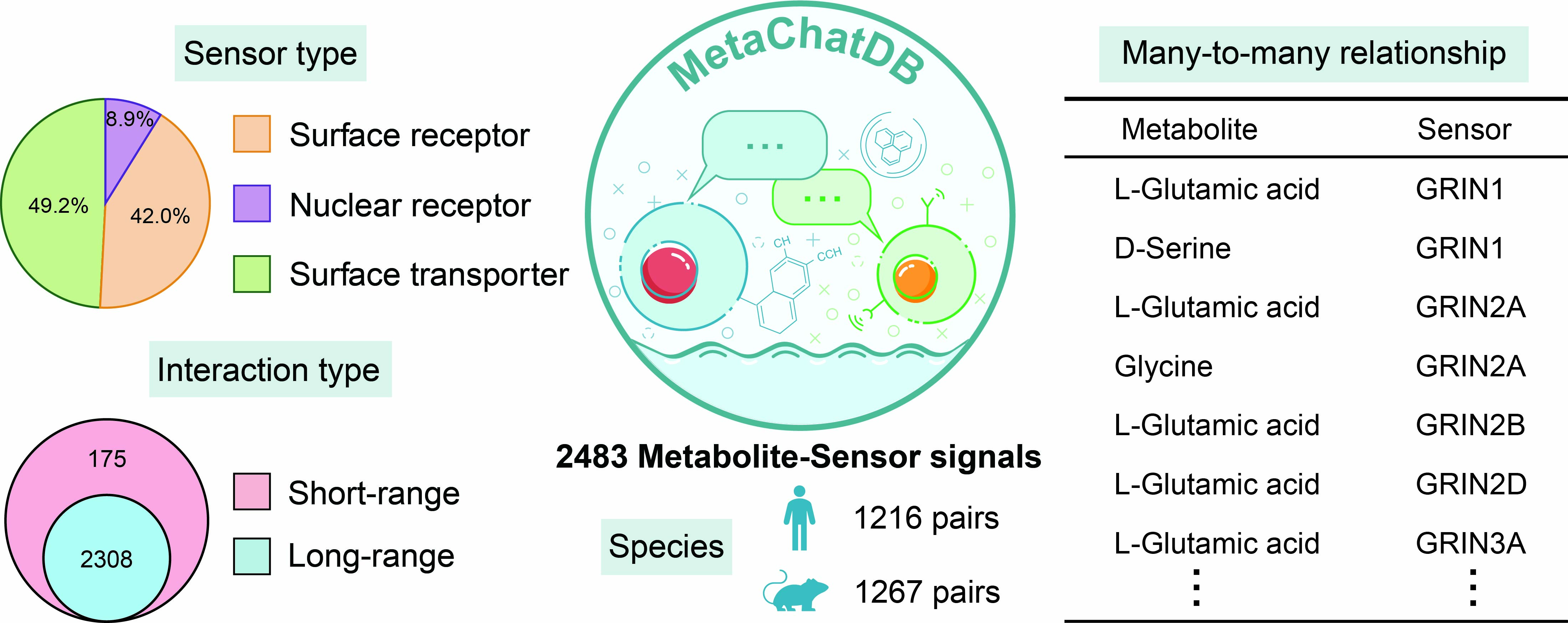 MetaChatDB