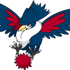Avatar for Robin from gravatar.com