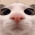 Avatar for codestantin from gravatar.com