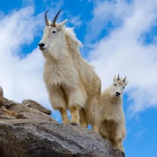 Avatar for James Dietrich from gravatar.com