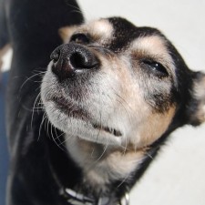 Avatar for heathkh from gravatar.com