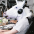 Avatar for codingjester from gravatar.com