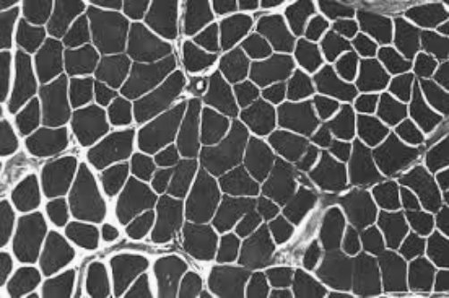 Gaussian blur — input