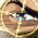 Avatar for MaxandreOgeret from gravatar.com