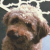 Avatar for jonjonrankin from gravatar.com